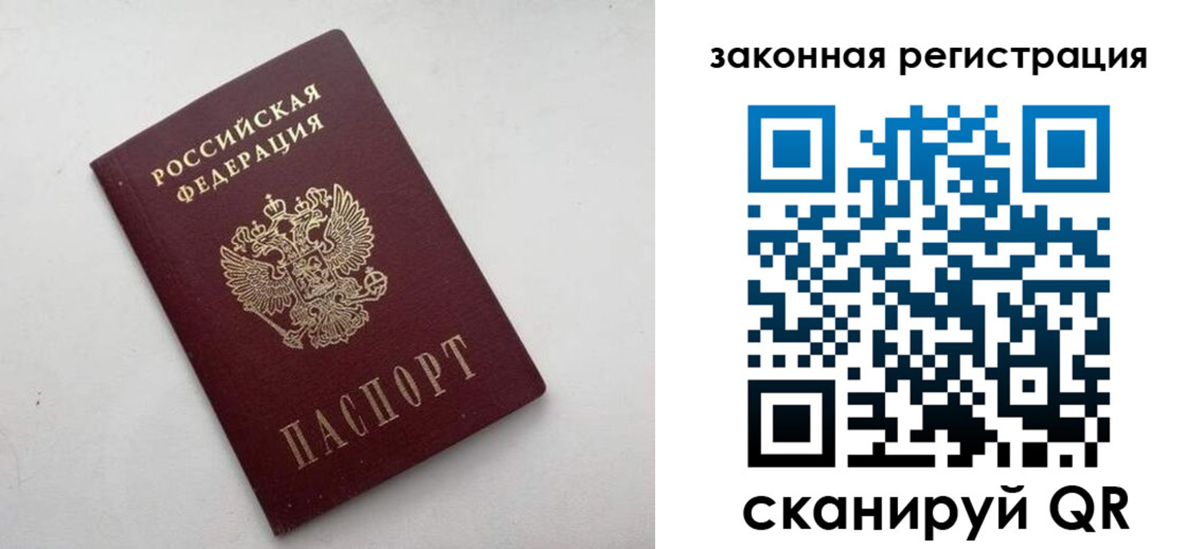 прописка гарантия в Куртамыше